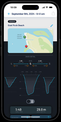 A summary of a dive profile.