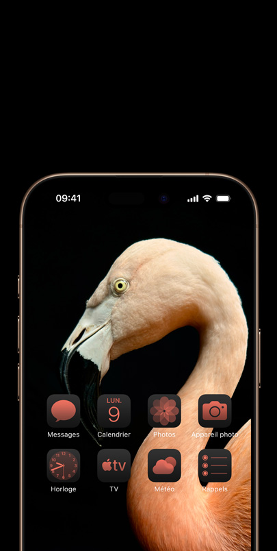 Écran d’un iPhone 16 Pro affichant la photo dynamique d’un flamant rose vu de profil, ainsi que des widgets dans une teinte rose assortie.