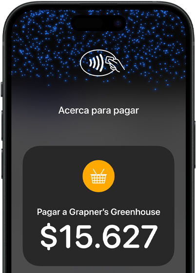 Primer plano de la pantalla de un iPhone que muestra el ícono de pago sin contacto e información sobre la transacción.