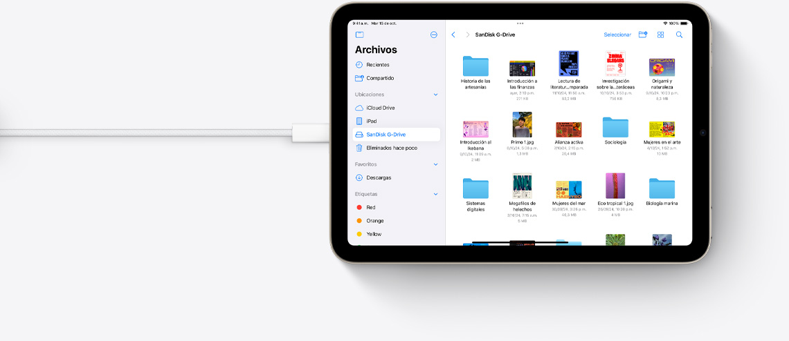 La app Archivos en un iPad mini en posición horizontal conectado a un cable USB-C.