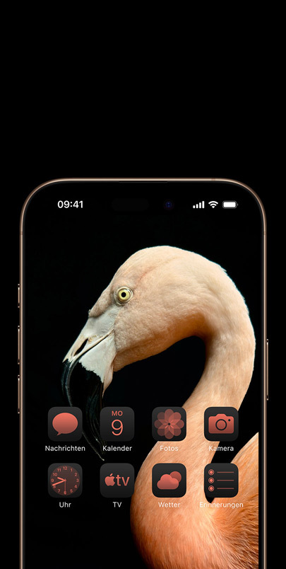 iPhone 16 Display mit einem dynamischen Seitenprofilfoto eines rosafarbenen Flamingos und passenden rosa eingefärbten Widgets.