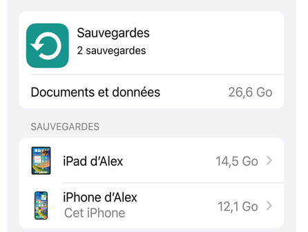 Écran affichant l’utilisation de données de la Sauvegarde iCloud