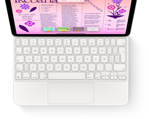 Imagen desde arriba de un Magic Keyboard conectado a un iPad Pro.