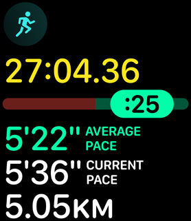 Running form metrics providing the person's pace and distance.