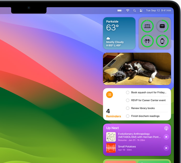 Widgets on desktop of MacBook Air